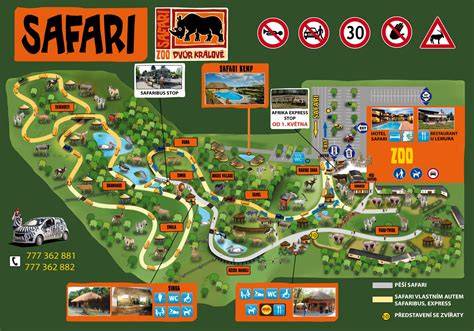 Safari Park Dvůr Králové zvířata