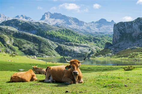 Turistická stezka v Picos de Europa