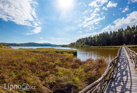 Naučná stezka Olšina rybník Šumava