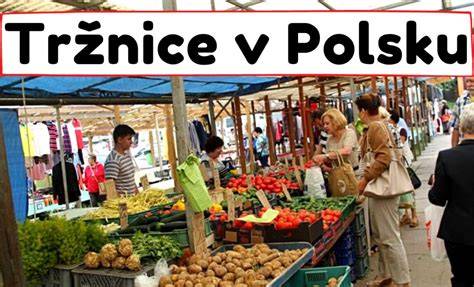 Novigradský přístav a rybí tržnice