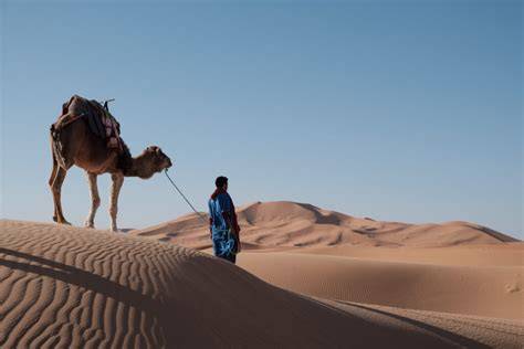 tuniská Sahara duny velbloudi