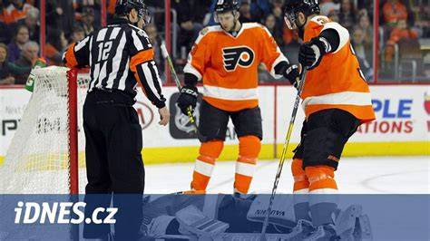 brankář při hokejovém zápase NHL
