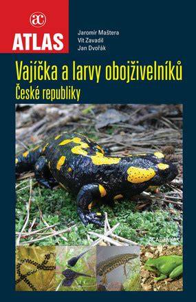české žáby čolci a mlok