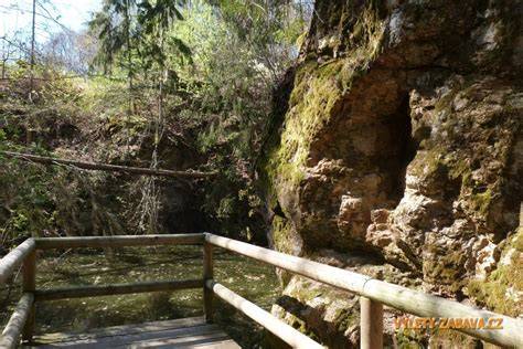 Turistická stezka lesem u Hrabyně