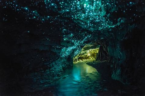 Waitomo jeskyně světélkující larvy