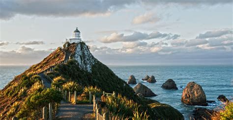 Catlins pobřeží maják Nugget Point