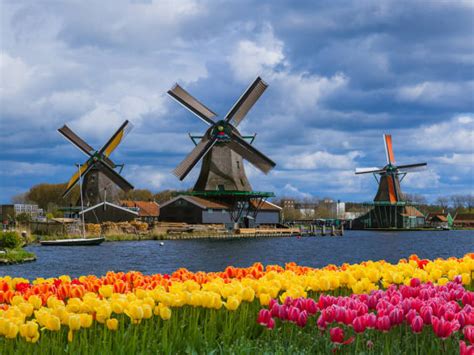 Zaanse Schans větrné mlýny