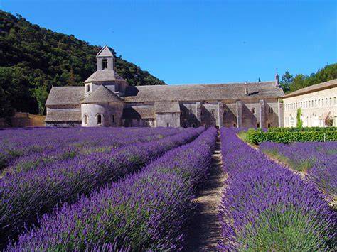 Levandulová pole a vesnice Provence