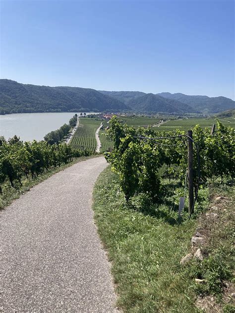 Vinice a meruňkové sady ve Wachau