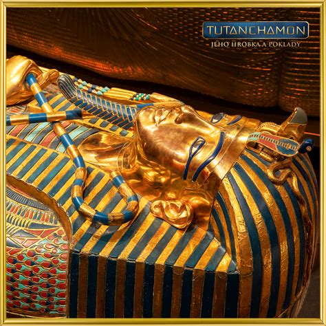 Simíci objevují egyptskou hrobku