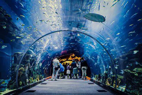Budapešť Tropicarium a zoologická zahrada