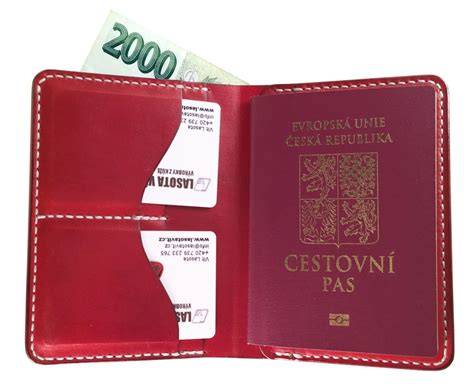 kožené cestovní pouzdro na doklady