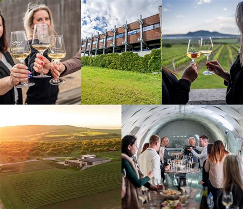 Degustace vína přímo mezi hnanickými vinicemi