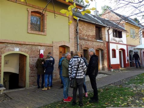 Hnanická sklepní ulička při otevřených sklepech