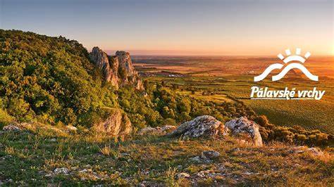 Pálavské vrchy s vinicemi